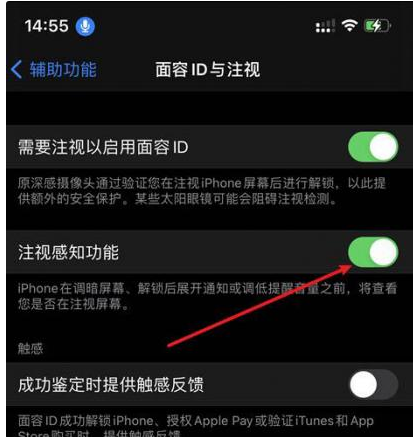 沙溪镇苹果14维修网点分享iPhone14注视感知功能有什么用 