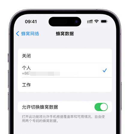 沙溪镇苹果维修服务分享如何在iPhone上使用双卡 